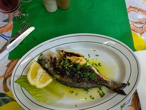 20240617_PXL174721878_DxO-DP7natural_Pixel7a-JEB